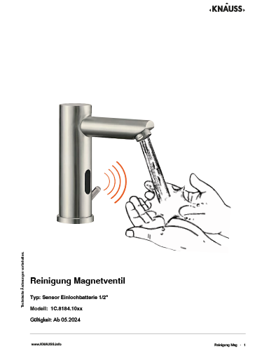 Reinigung Magnetventil Sensorarmatur